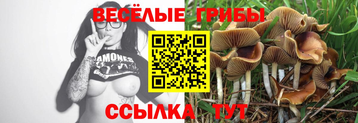 Псилоцибиновые грибы Magic Shrooms Сарапул